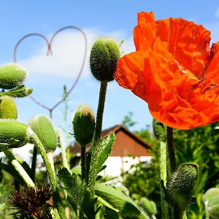 Casa vacanze Anna's Siedlungshaeusle